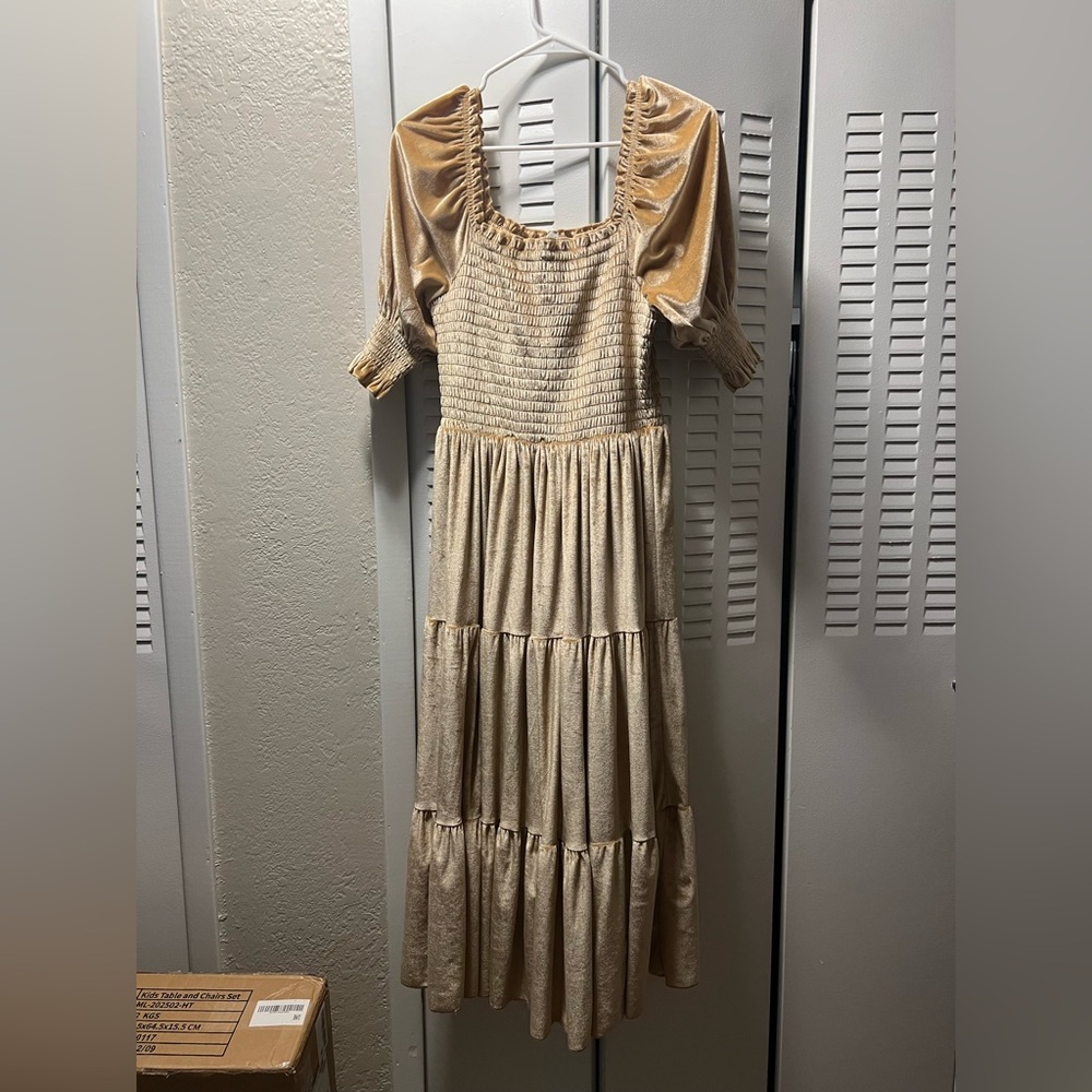 Baltic born gold midi velvet dress